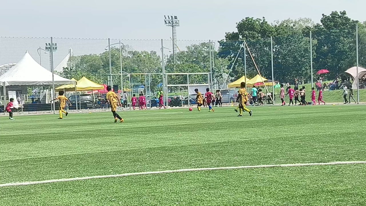 SRADP vs PUFA BEES